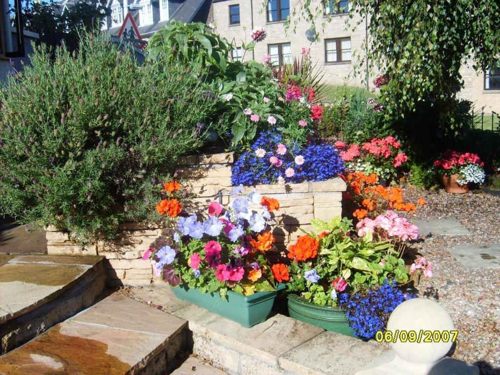 Braeside House Bed & Breakfast St Andrews Eksteriør bilde